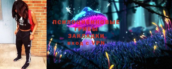 крисы Алексеевка