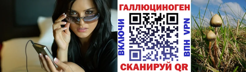 Псилоцибиновые грибы Psilocybe  где купить наркоту  Большой Камень 