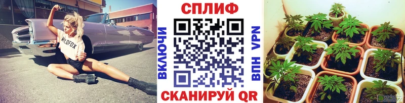 Каннабис THC 21%  Большой Камень 